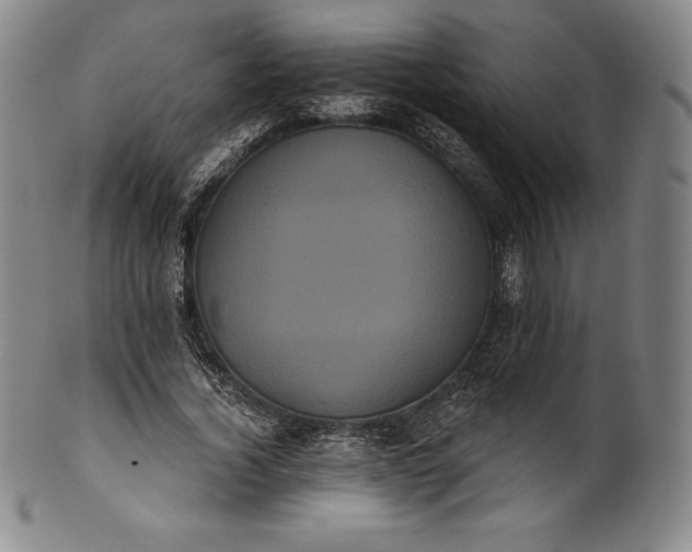 X0000102240732200808081435