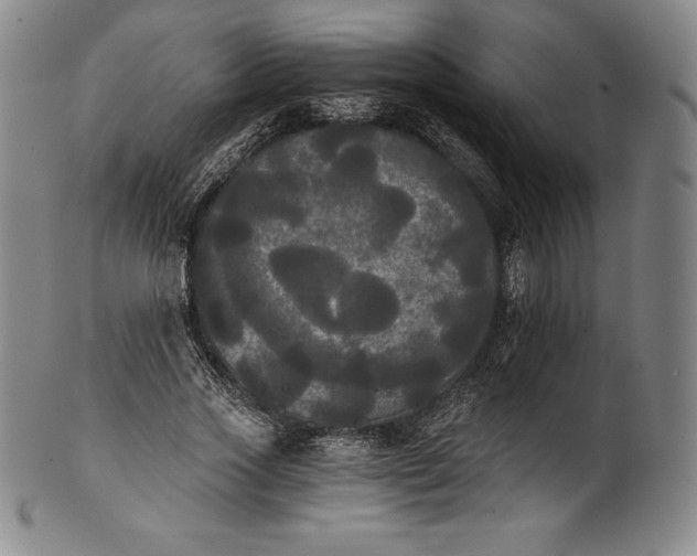 X0000102240733200808081435