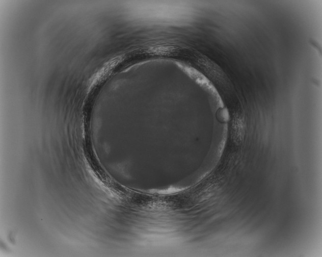 X0000102240734200808081435