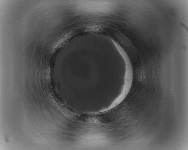 X0000102240735200808081435