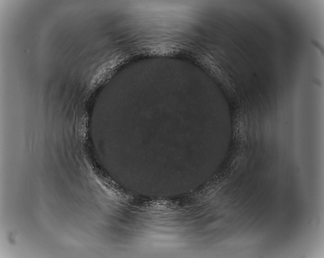 X0000102240736200808081435