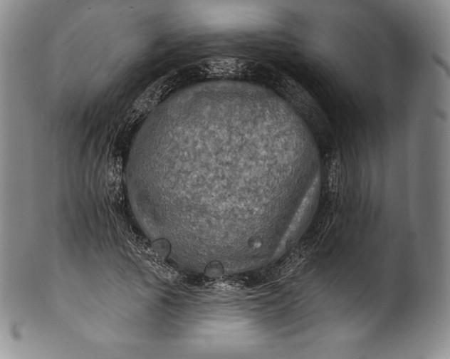 X0000102240737200808081435