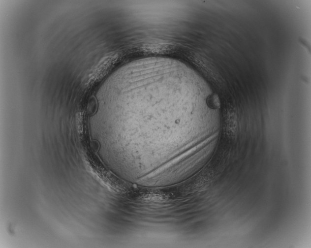 X0000102240738200808081435