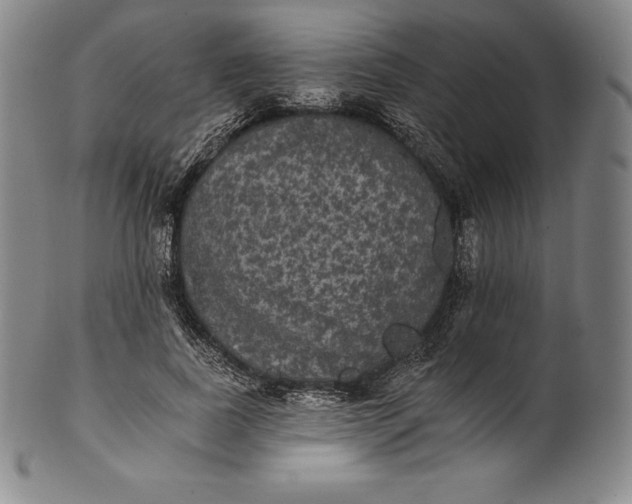 X0000102240739200808081435