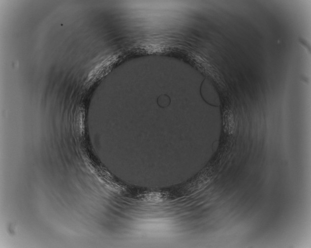 X0000102240740200808081435