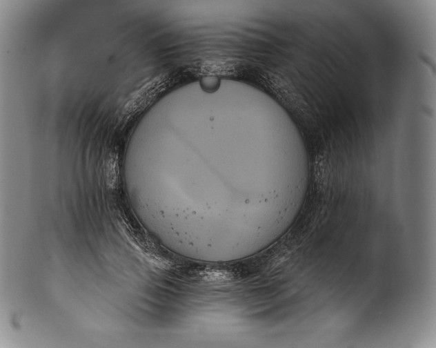 X0000102240741200808081435