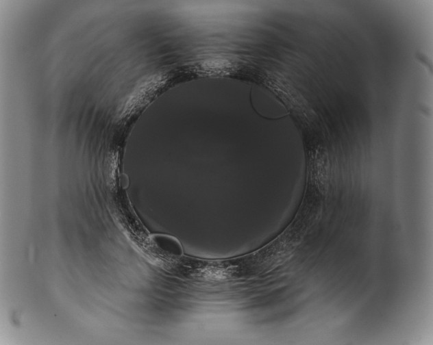 X0000102240742200808081435