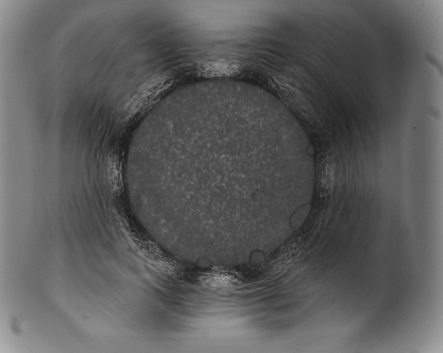 X0000102240743200808081435