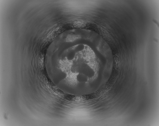 X0000102240745200808081435