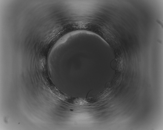 X0000102240747200808081435