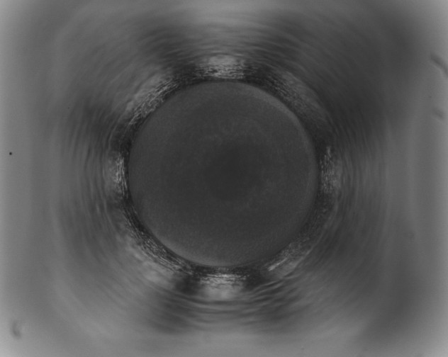 X0000102240748200808081435