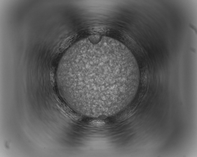 X0000102240749200808081435