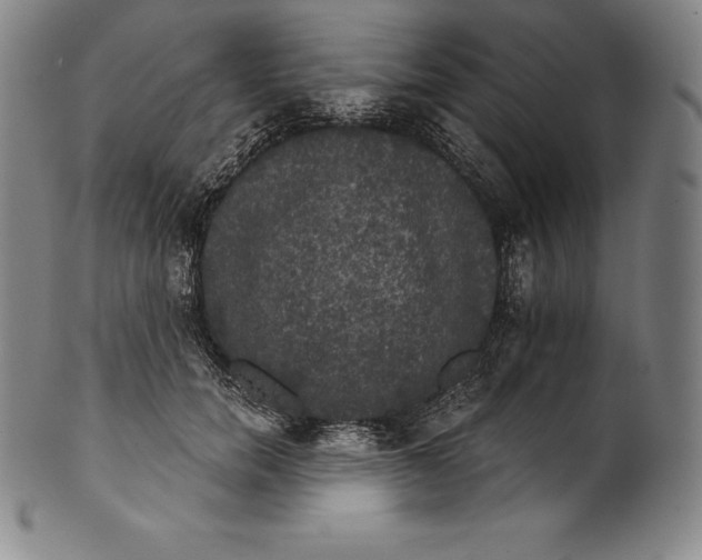 X0000102240750200808081435