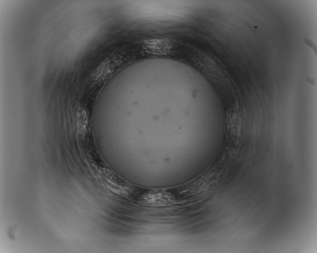 X0000102240752200808081435