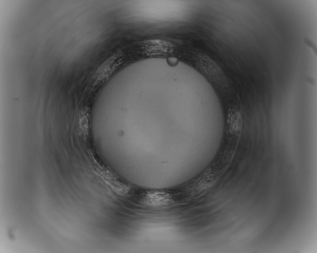 X0000102240753200808081435