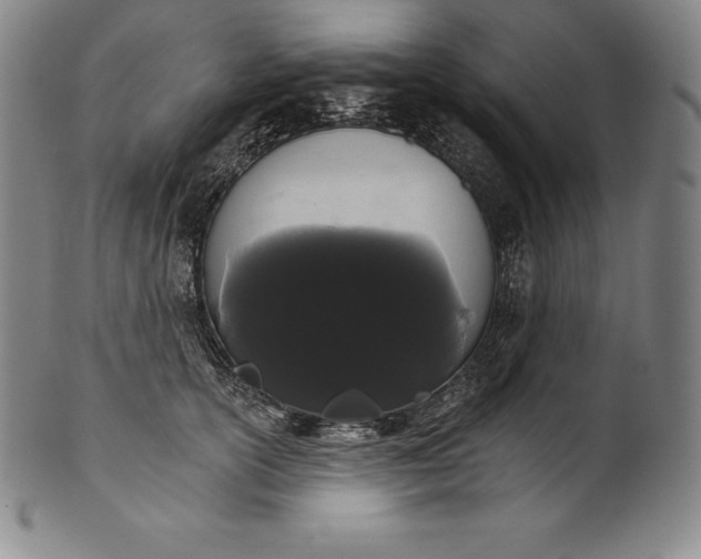 X0000102240754200808081436