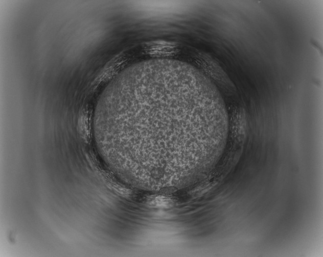 X0000102240755200808081436