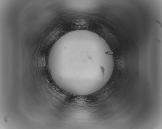 X0000102240756200808081436