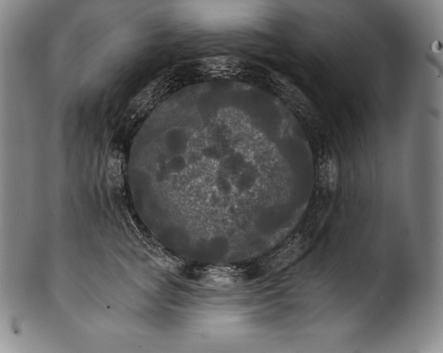 X0000102240757200808081436