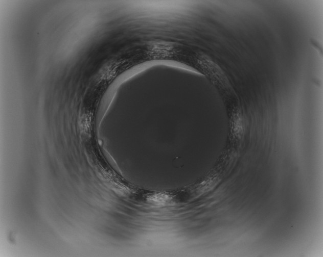 X0000102240759200808081436