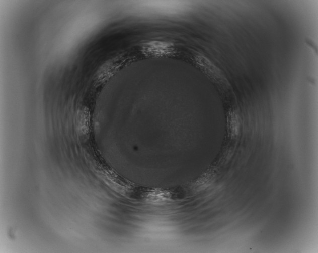 X0000102240760200808081436