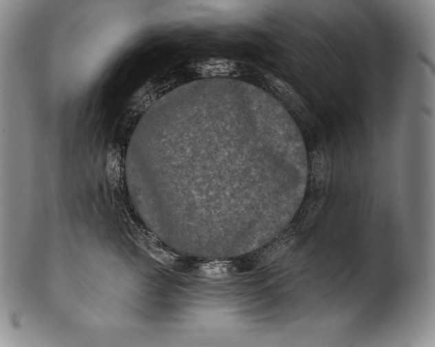 X0000102240761200808081436