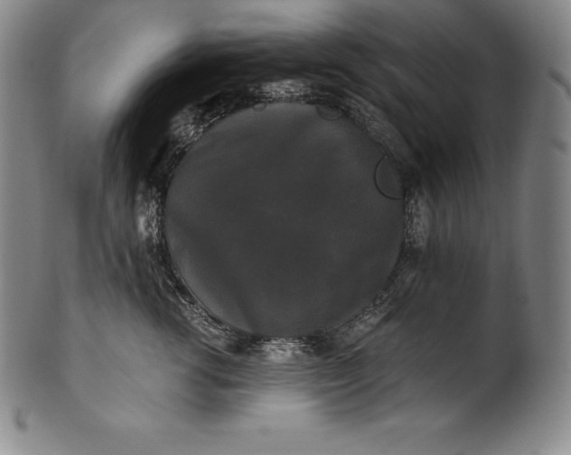 X0000102240762200808081436