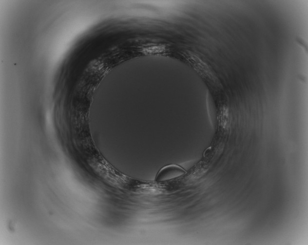 X0000102240763200808081436