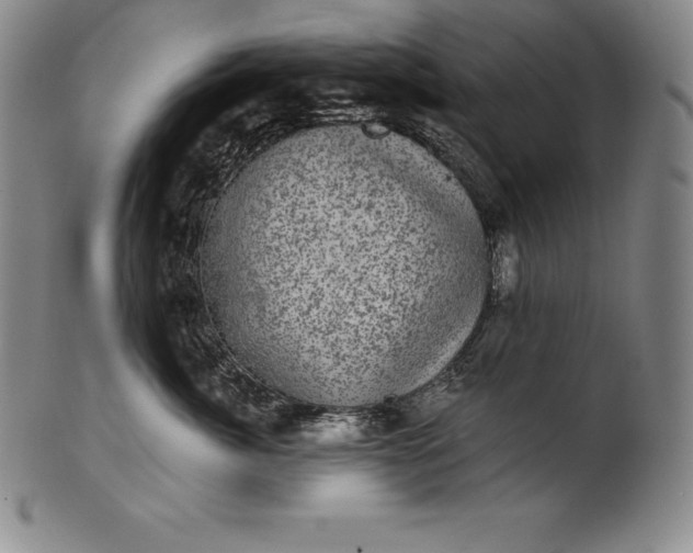 X0000102240764200808081436