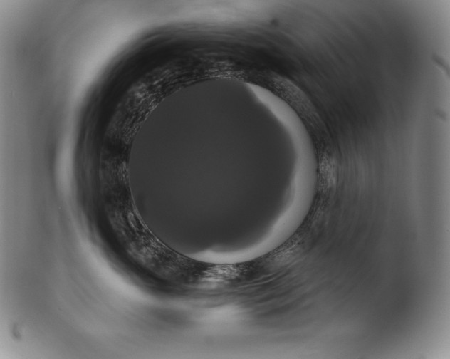 X0000102240765200808081436