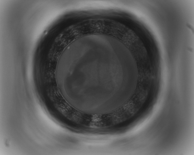 X0000102240766200808081436