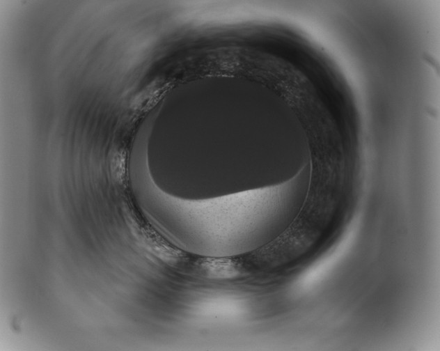 X0000102240767200808081436