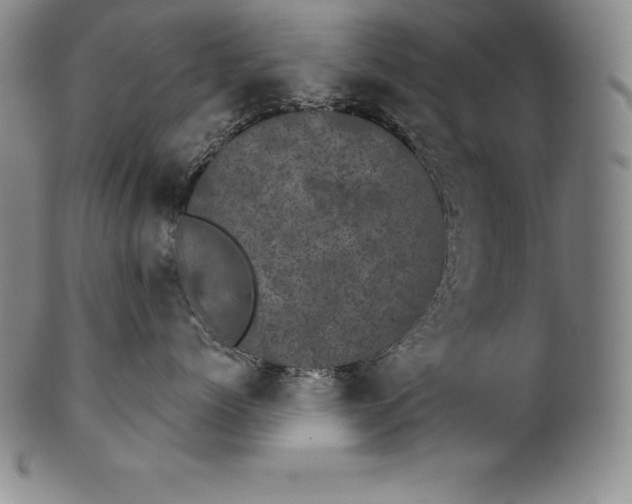 X0000102240768200808081436