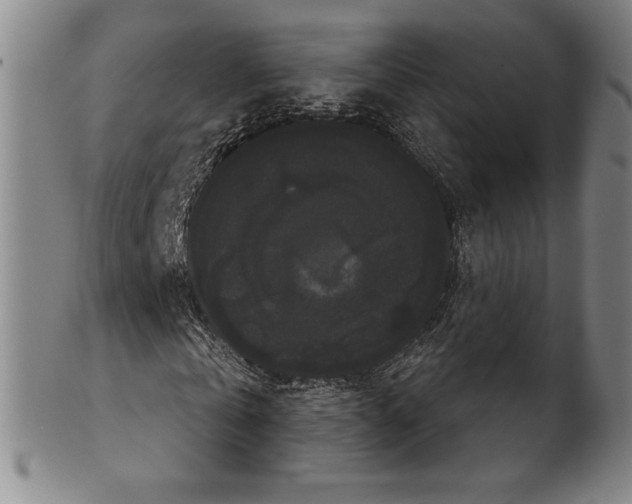 X0000102240769200808081435