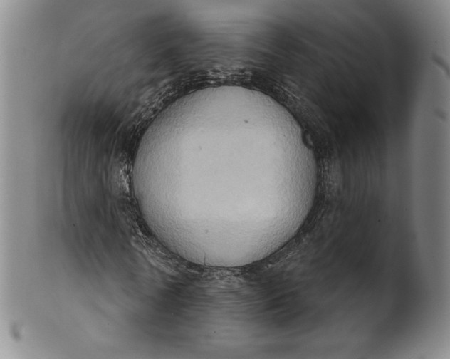 X0000102240770200808081435