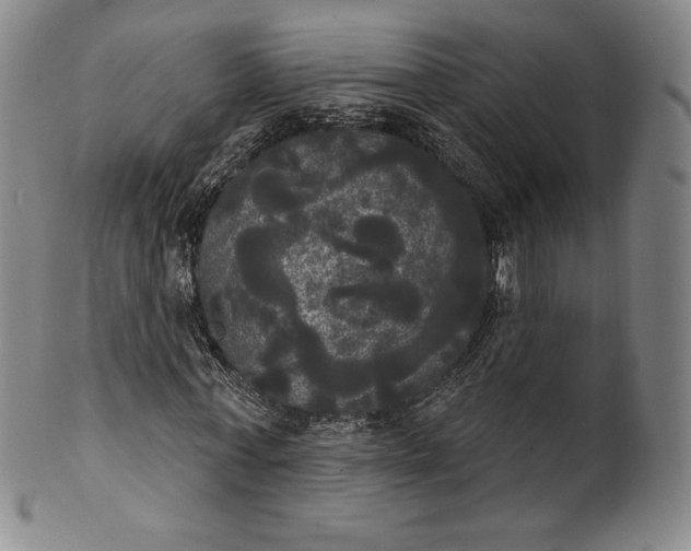 X0000102240771200808081435