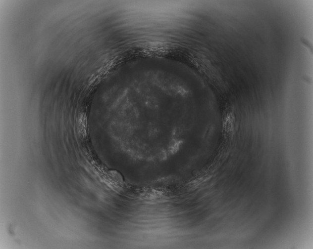 X0000102240772200808081435