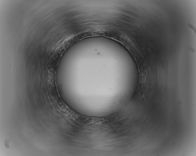 X0000102240773200808081435