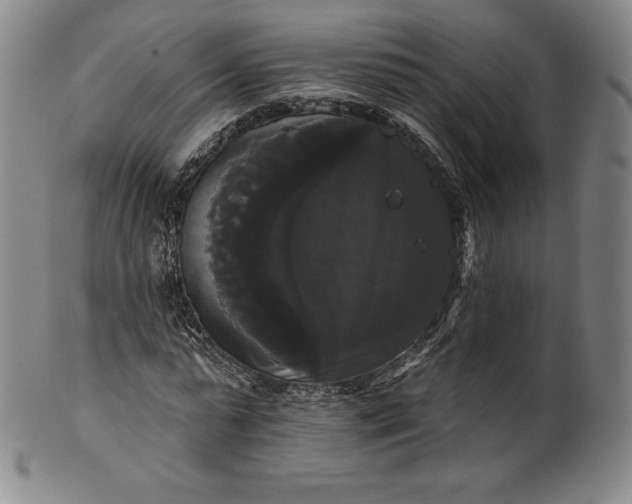 X0000102240775200808081435