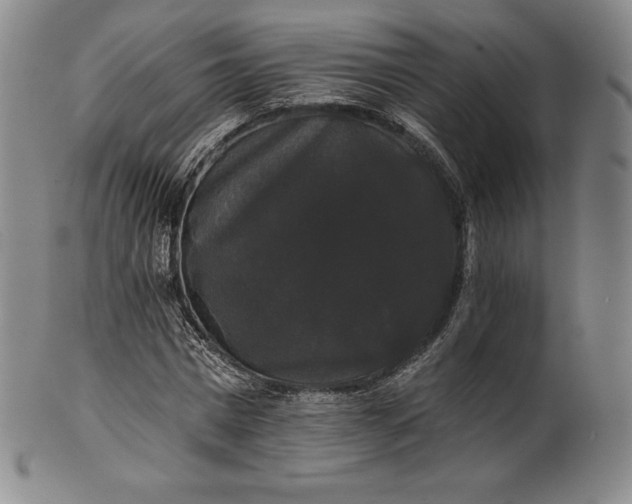 X0000102240777200808081435