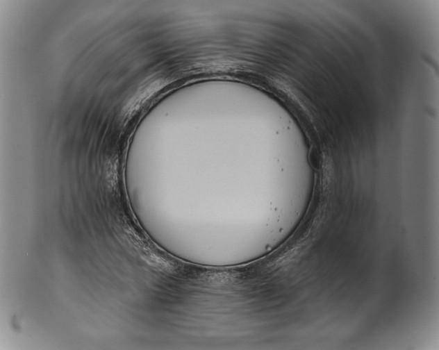 X0000102240778200808081435