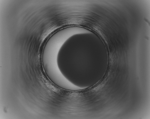 X0000102240779200808081435