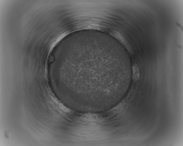 X0000102240780200808081435