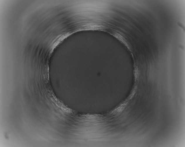 X0000102240781200808081435