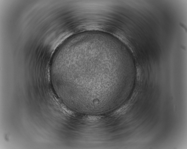 X0000102240782200808081435