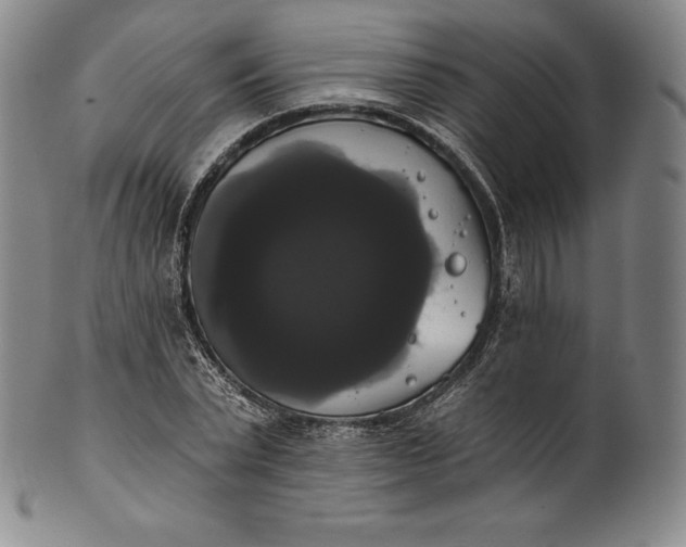 X0000102240783200808081435