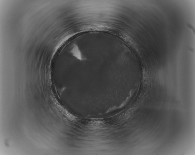 X0000102240784200808081435