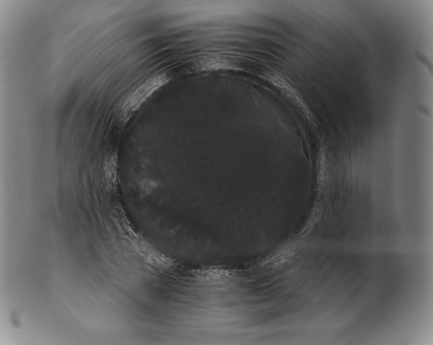 X0000102240785200808081435