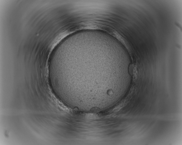 X0000102240787200808081435