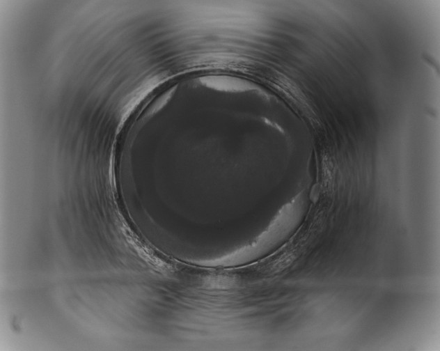 X0000102240788200808081435